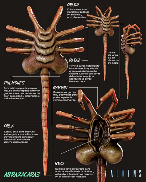 facehugger anal|Facehugger Anal Porn .